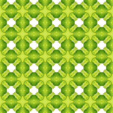 Tekstil hazır baskı, mayo kumaş, duvar kağıdı, ambalaj. Yeşil düzgün boho şık yaz tasarımı. Organik fayans. Moda organik yeşil kenar.