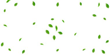 Düşen yeşil yapraklar. Taze çay, rastgele uçuşan yapraklar. Sarı yeşil arka planda bahar yaprakları dans ediyor. İnanılmaz bir yaz şablonu. İdeal bahar satışı vektör illüstrasyonu.