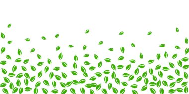 Düşen yeşil yapraklar. Taze çay, rastgele uçuşan yapraklar. Beyaz arka planda bahar yaprakları dans ediyor. Eğlenceli bir yaz şablonu. Egzotik bahar satışı vektör illüstrasyonu.