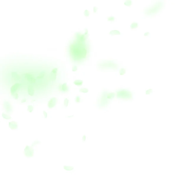 緑の花の花弁が落ちてくる 壮大なロマンチックな花のコーナー 白い四角形の背景に空飛ぶ花弁 恋愛概念 結婚式の招待状 — ストックベクタ