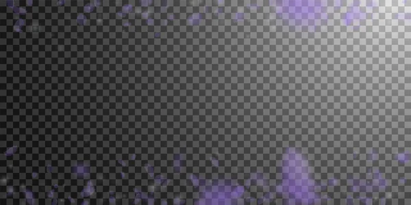 Лепестки Фиолетовых Цветов Падают Смелые Романтические Цветы Летающий Лепесток Прозрачном — стоковый вектор