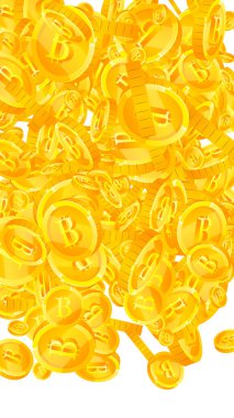 Bitcoin, internet para birimleri düşüyor. Yaygın BTC bozuklukları. Kripto para, dijital para. Kıymetli ikramiye, servet ya da başarı konsepti. Vektör illüstrasyonu.