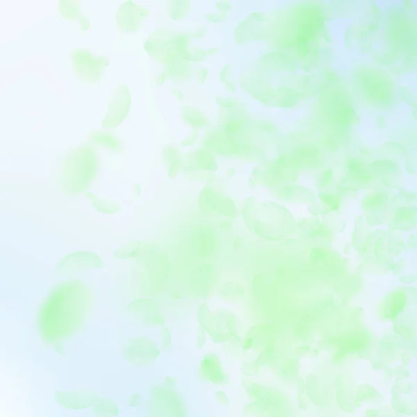 Зеленые Лепестки Цветов Падают Живые Романтические Цветы Градиент Летающий Лепесток — стоковый вектор