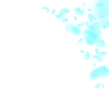 Turkuaz çiçek yaprakları dökülüyor. İlahi romantik çiçek köşesi. Beyaz kare arka planda uçan taç yaprakları. Aşk, romantizm kavramı. Temyiz düğün daveti.