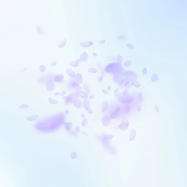 Violet Flower Petals Falling Fresh Romantic Flowers Explosion Flying Petal — 스톡 벡터