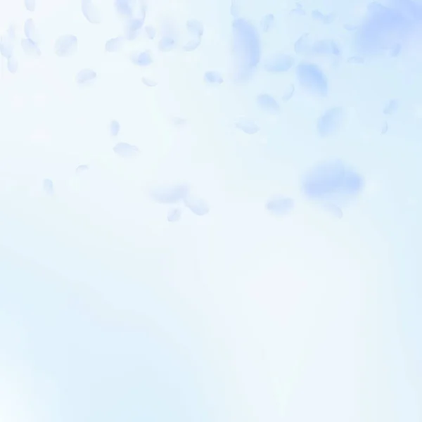 Pétales Fleurs Bleu Clair Tombant Superbe Dégradé Fleurs Romantiques Pétale — Image vectorielle
