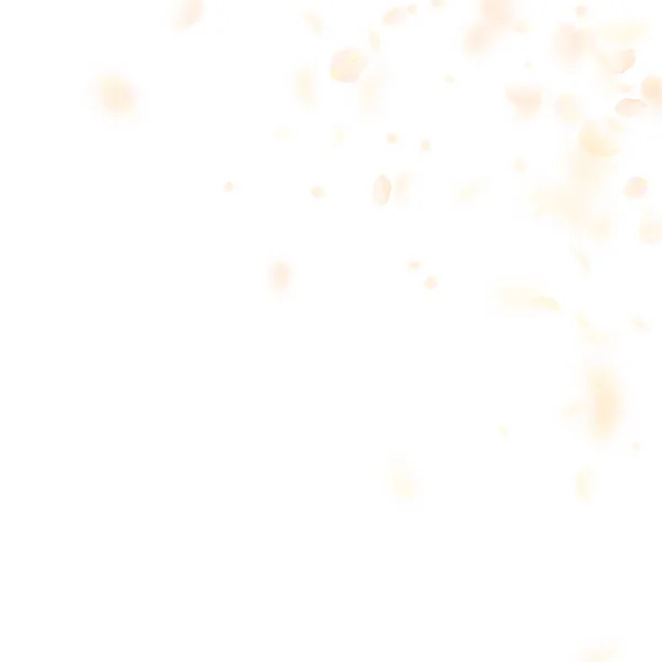 Желтые Оранжевые Лепестки Цветов Падают Романтический Цветочный Уголок Летающий Лепесток — стоковый вектор