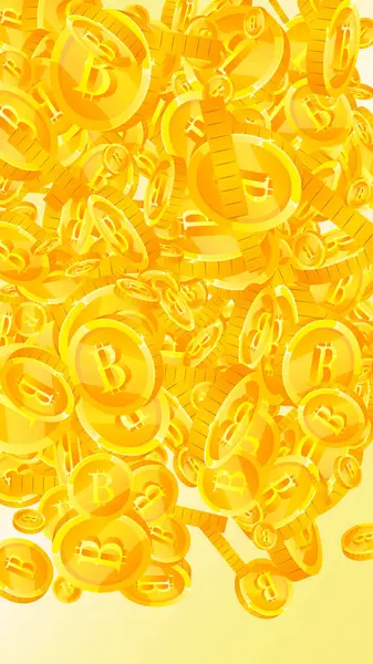 Bitcoin Internet Para Birimleri Düşüyor Yaygın Btc Bozuklukları Kripto Para — Stok Vektör