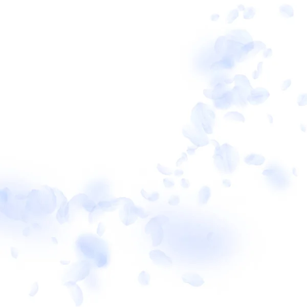 Pétales Fleurs Bleu Clair Tombant Coin Des Fleurs Romantiques Juteuses — Image vectorielle