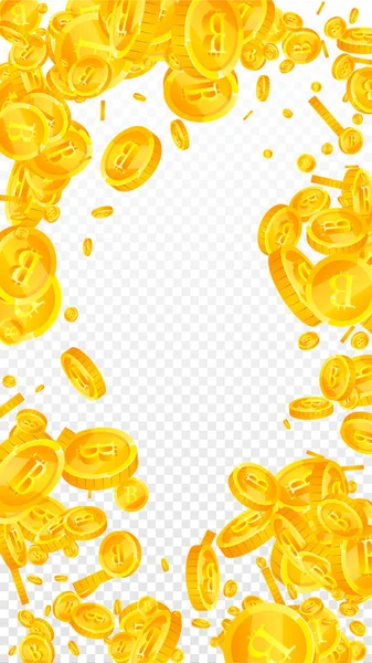 Bitcoin Die Internetwährung Coins Fallen Amüsant Verstreute Btc Münzen Kryptowährung — Stockvektor