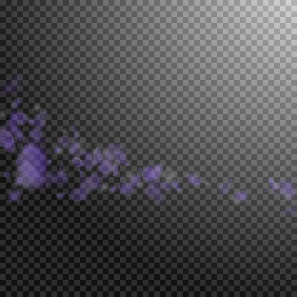 Лепестки Фиолетовых Цветов Падают Смелые Романтические Цветы Комета Летающий Лепесток — стоковый вектор