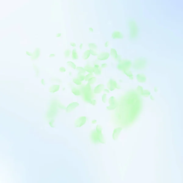 Pétales Fleurs Vertes Tombant Explosion Fleurs Extra Romantiques Pétale Volante — Image vectorielle