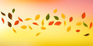 Sonbahar yaprakları dökülüyor. Kırmızı, sarı, yeşil, kahverengi, temiz yapraklar uçuşuyor. Beyaz arka planda yağan yağmurlu yeşillikler. Okul satışına geri dönmek büyüleyici..