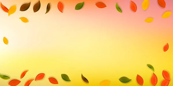 Fallende Herbstblätter Rote Gelbe Grüne Braune Saubere Blätter Fliegen Vignette — Stockvektor