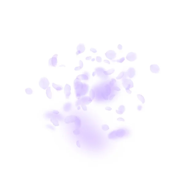 Violet Flower Petals Falling Superb Romantic Flowers Explosion Flying Petal — 스톡 벡터