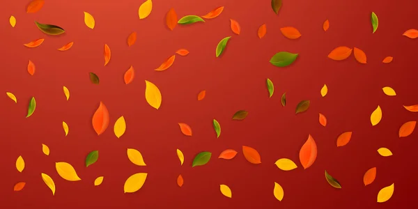 Falling Autumn Leaves Red Yellow Green Brown Chaotic Leaves Flying — Stock Vector