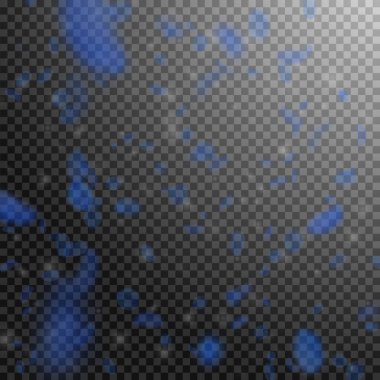 Koyu mavi çiçek yaprakları dökülüyor. Yağmur yağan muhteşem romantik çiçekler. Şeffaf kare arka planda uçan taç yaprakları. Aşk, romantizm kavramı. Güzel düğün davetiyesi.