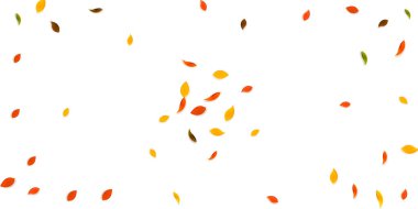 Sonbahar yaprakları dökülüyor. Kırmızı, sarı, yeşil, kahverengi yapraklar uçuşuyor. Olağanüstü günbatımı arka planında patlayan renkli yapraklar. Güzel, okul satışına geri döndü..