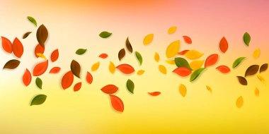 Sonbahar yaprakları dökülüyor. Kırmızı, sarı, yeşil, kaotik yapraklar uçuşuyor. Simetrik beyaz arka planda yağan yağmur renkli yapraklar. Okul satışına geri dönmek büyüleyici..