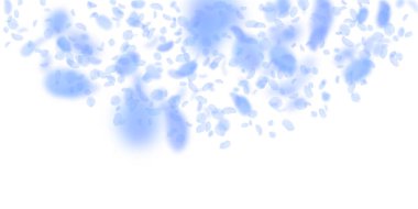 Koyu mavi çiçek yaprakları dökülüyor. Tatlı romantik çiçekler yarım daire şeklinde. Beyaz arka planda uçan taç yaprakları. Aşk, romantizm kavramı. Dramatik düğün davetiyesi.