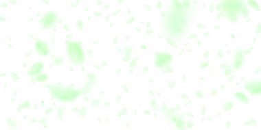 Yeşil çiçek yaprakları dökülüyor. Şekli romantik çiçekler yağmur gibi yağıyor. Beyaz arka planda uçan taç yaprakları. Aşk, romantizm kavramı. Hoş bir düğün davetiyesi..