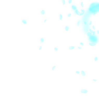 Turkuaz çiçek yaprakları dökülüyor. Sıra dışı romantik çiçek köşesi. Beyaz kare arka planda uçan taç yaprakları. Aşk, romantizm kavramı. Muhteşem düğün davetiyesi..