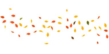 Sonbahar yaprakları dökülüyor. Kırmızı, sarı, yeşil, kahverengi yapraklar uçuşuyor. Eşsiz günbatımı arka planında yağan yağmurlu yeşillikler. Okul satışına geri dönmek büyüleyici..