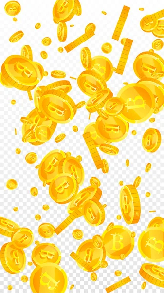 Bitcoin Internet Currency Coins Falling Mesmeric Scattered Btc Coins Cryptocurrency — 스톡 벡터