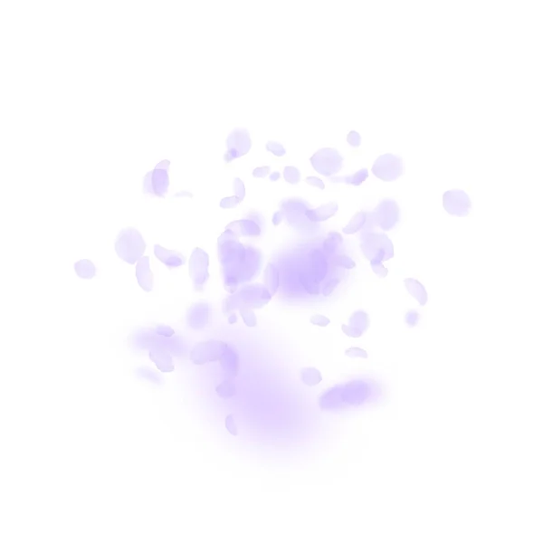 Des Pétales Fleurs Violettes Tombent Superbe Explosion Fleurs Romantiques Flying — Image vectorielle