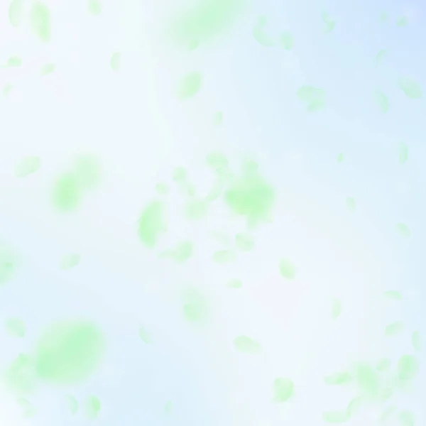 Green Flower Petals Falling Grand Romantic Flowers Explosion Flying Petal — 스톡 벡터