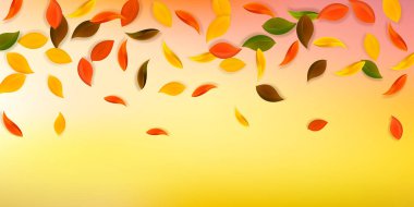 Sonbahar yaprakları dökülüyor. Kırmızı, sarı, yeşil, kahverengi