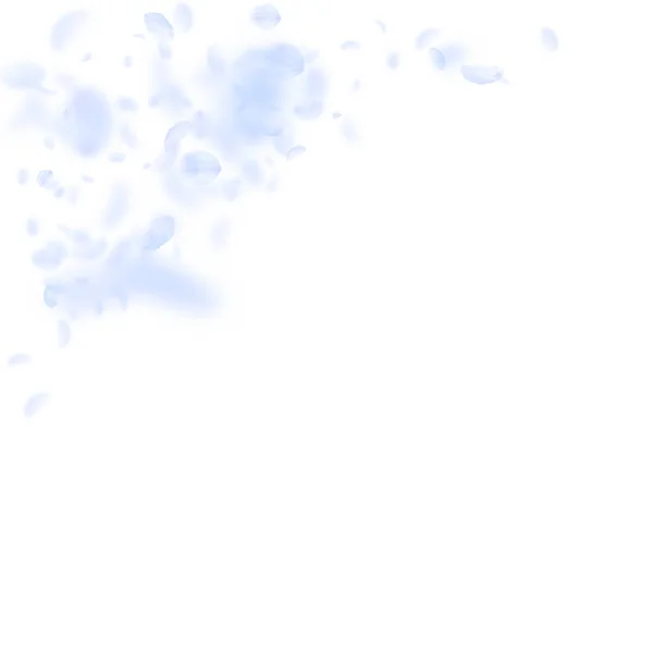 浅蓝色的花瓣飘落下来.罕见的溶血剂 — 图库矢量图片