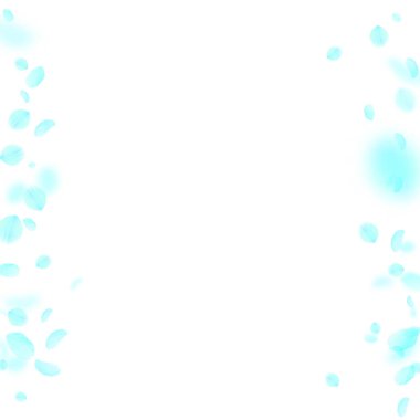 Turkuaz çiçek yaprakları dökülüyor. Akıllara durgunluk veren romantik çiçekler. Beyaz kare arka planda uçan taç yaprakları. Aşk, romantizm kavramı. Gerçek düğün davetiyesi.