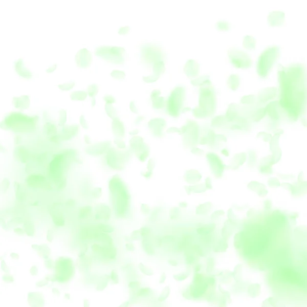 Зелені Пелюстки Квітів Падають Вниз Витончений Романтичний Градієнт Квітів Літаюча — стоковий вектор