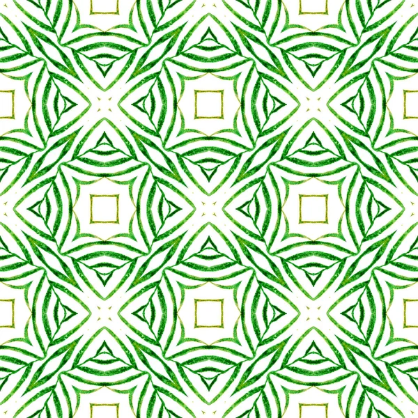 民族の手描きのパターン 緑の驚くべきBohoシックな夏のデザイン 水彩夏の民族の国境パターン 繊維準備ができて強力なプリント 水着生地 — ストック写真