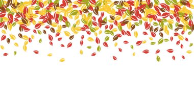 Sonbahar yaprakları dökülüyor. Kırmızı, sarı, yeşil, kaotik yapraklar uçuşuyor. Orijinal beyaz arka planda rengarenk yapraklar. Güzel, okul satışına geri döndü..