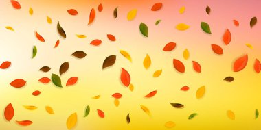 Sonbahar yaprakları dökülüyor. Kırmızı, sarı, yeşil, kaotik yapraklar uçuşuyor. Kalıcı beyaz arka planda yağan renkli yapraklar. Okul satışına geri dönmek büyüleyici..