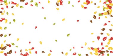 Sonbahar yaprakları dökülüyor. Kırmızı, sarı, yeşil, kaotik yapraklar uçuşuyor. Fevkalade beyaz arka planda renkli bir yaprak. Güzel, okul satışına geri döndü..