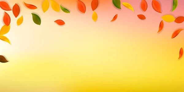 秋天落叶 褐色整齐的叶子在飘扬 在令人羡慕的白色背景上飘落着五彩斑斓的树叶 迷人的回到学校销售 — 图库矢量图片