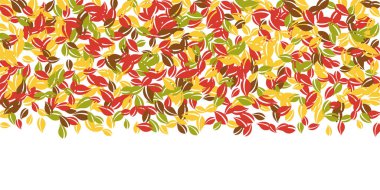 Sonbahar yaprakları dökülüyor. Kırmızı, sarı, yeşil, kaotik yapraklar uçuşuyor. Beyaz arka planda rengarenk yapraklar. Güzel, okul satışına geri döndü..