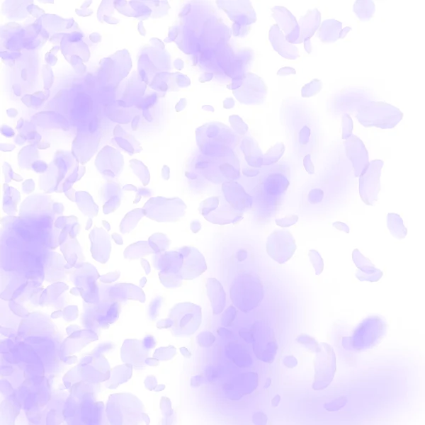 紫色の花の花弁が落ちてきます 例外的なロマンチックな花のグラデーション 白い四角形の背景に空飛ぶ花弁 恋愛概念 結婚式の招待状 — ストックベクタ