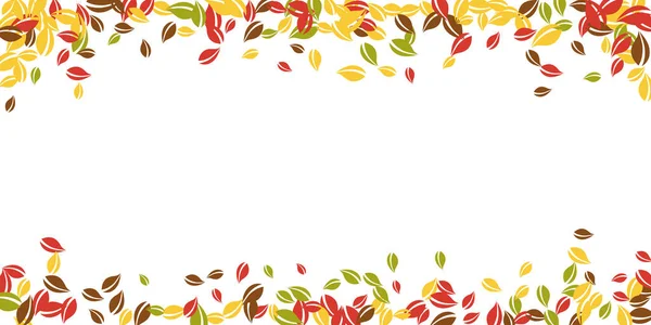 Sonbahar yaprakları dökülüyor. Kırmızı, sarı, yeşil, kaotik yapraklar uçuşuyor. Göz kamaştırıcı beyaz arka planda yağan renkli yapraklar. Güzel, okul satışına geri döndü..