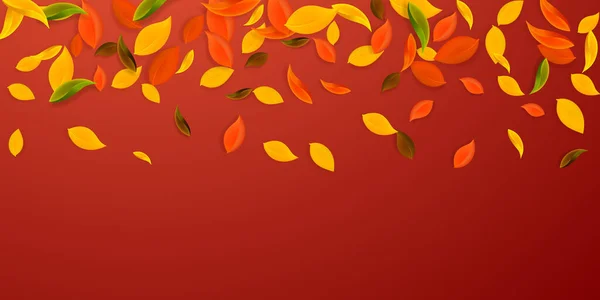 Falling Autumn Leaves Red Yellow Green Brown Chaotic Leaves Flying — Stock Vector