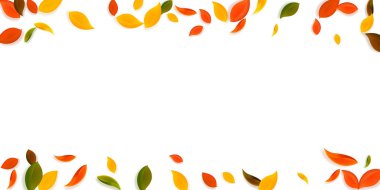 Sonbahar yaprakları dökülüyor. Kırmızı, sarı, yeşil, kaotik yapraklar uçuşuyor. Garip günbatımı arka planında yağan yağmur renkli yapraklar. Okul satışına geri dönmek çok güzel..