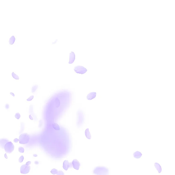 Лепестки Фиолетовых Цветов Падают Романтический Цветочный Уголок Летающий Лепесток Белом — стоковый вектор