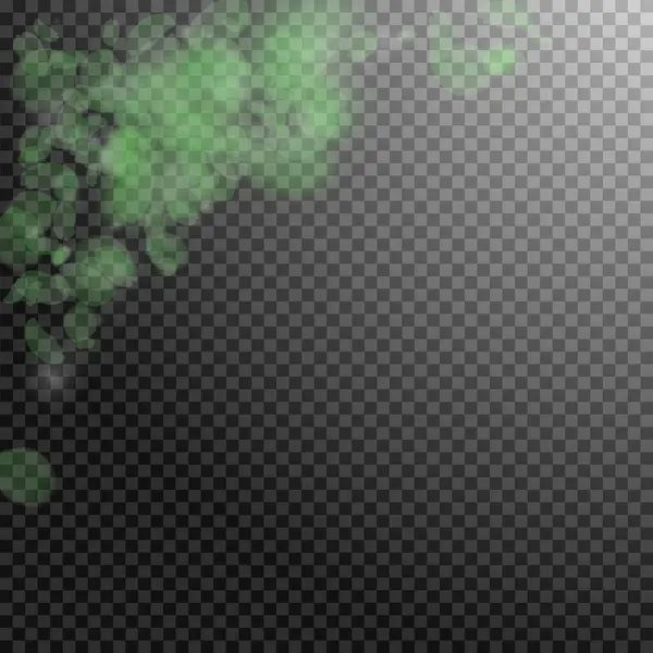 Зеленые Лепестки Цветов Падают Уголок Изящных Романтических Цветов Летающий Лепесток — стоковый вектор