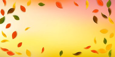 Sonbahar yaprakları dökülüyor. Kırmızı, sarı, yeşil, kahverengi, temiz yapraklar uçuşuyor. Şık beyaz arka planda renkli bir yaprak. Güzel, okul satışına geri döndü..