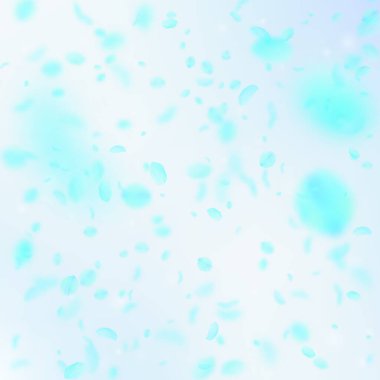 Turkuaz çiçek yaprakları dökülüyor. Zarif romantik çiçekler yağmur yağıyor. Mavi gökyüzü kare arka planında uçan taç yaprakları. Aşk, romantizm kavramı. Büyüleyici düğün davetiyesi.