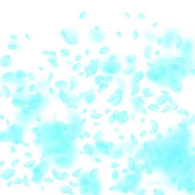 Turkuaz çiçek yaprakları dökülüyor. Dikkat çekici romantik çiçekler gradyanı. Beyaz kare arka planda uçan taç yaprakları. Aşk, romantizm kavramı. Nefes kesici düğün davetiyesi.