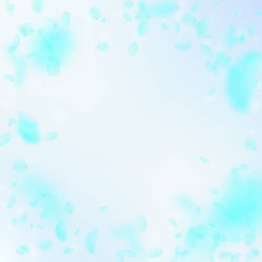 Turkuaz çiçek yaprakları dökülüyor. Olağanüstü.